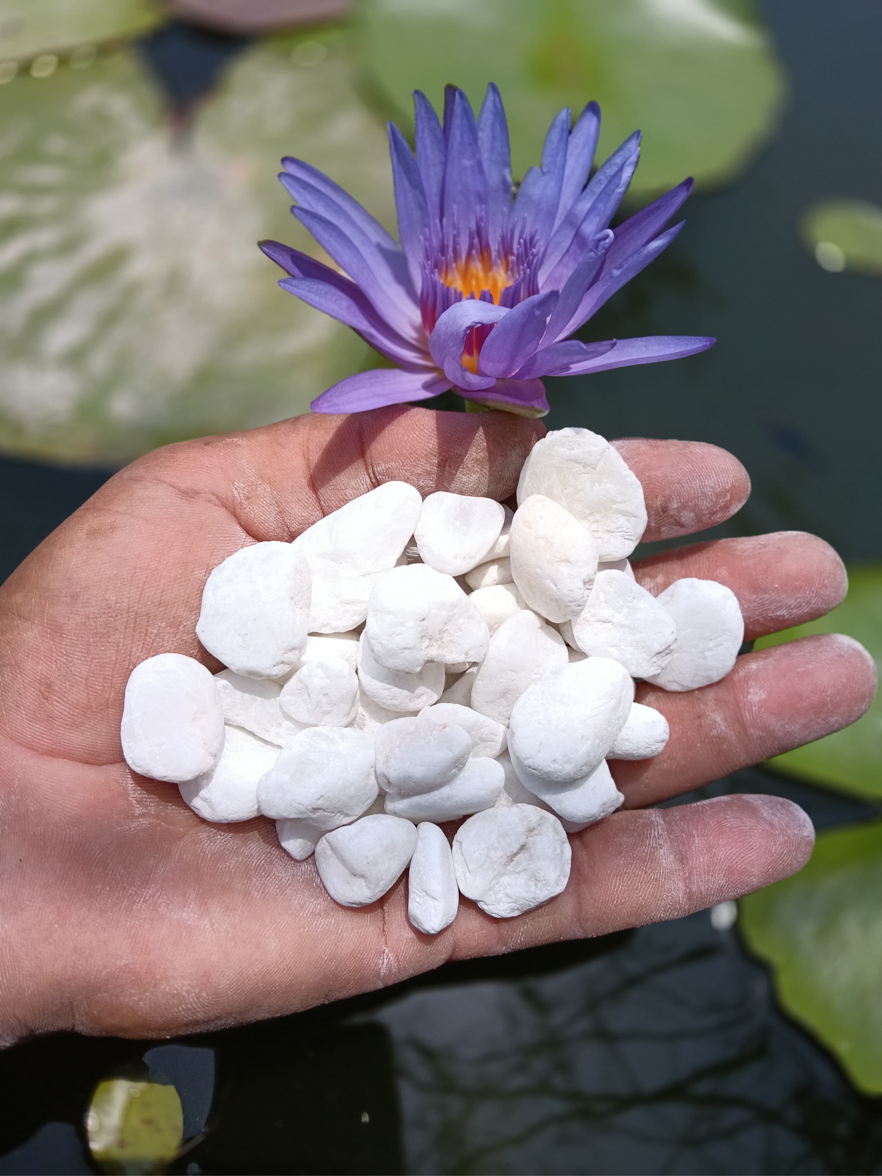 White Pebbles – 20kg Bag (1.2cm)
