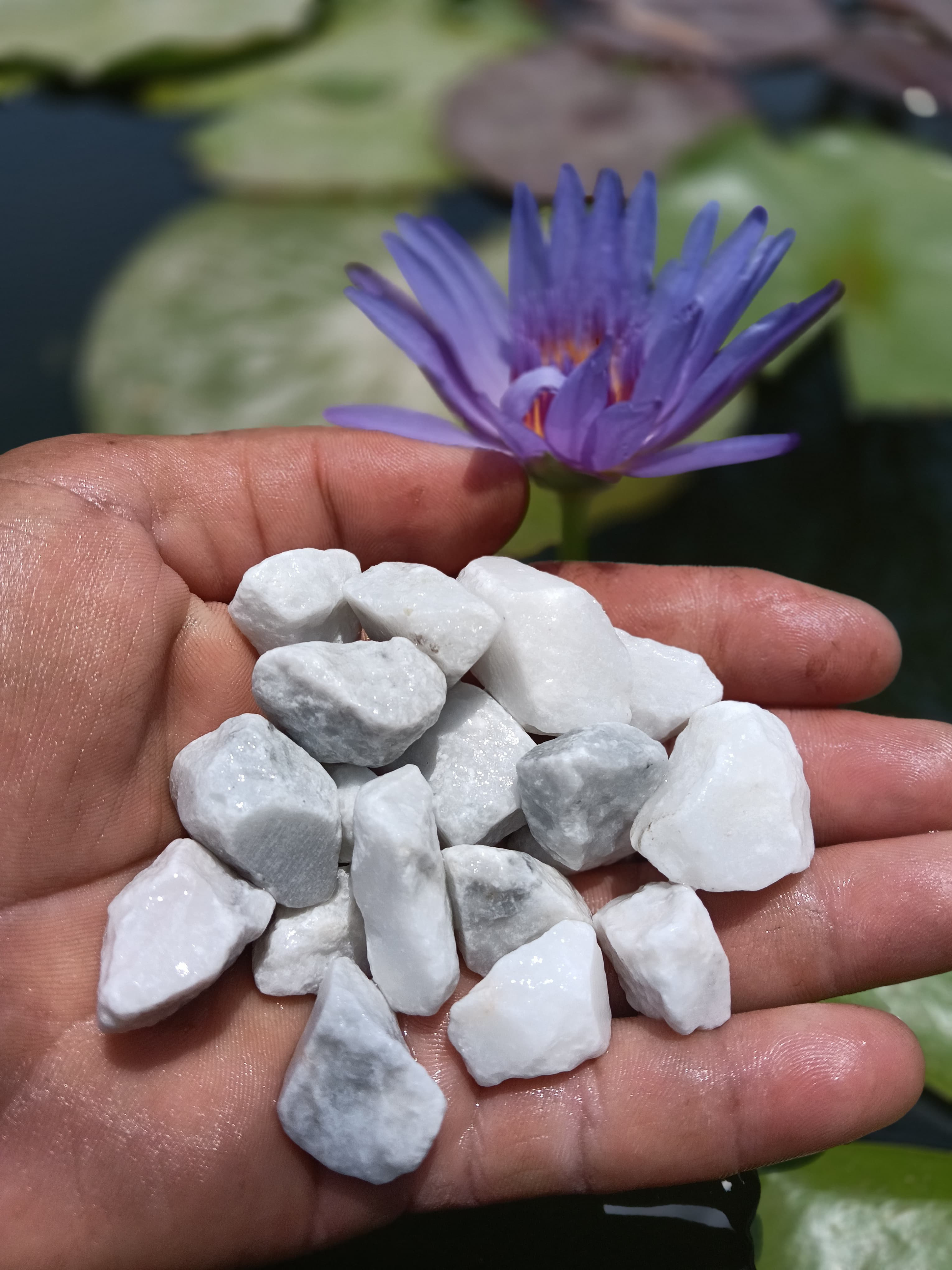 White Marble Gravel – 20kg Bag (1.2cm)