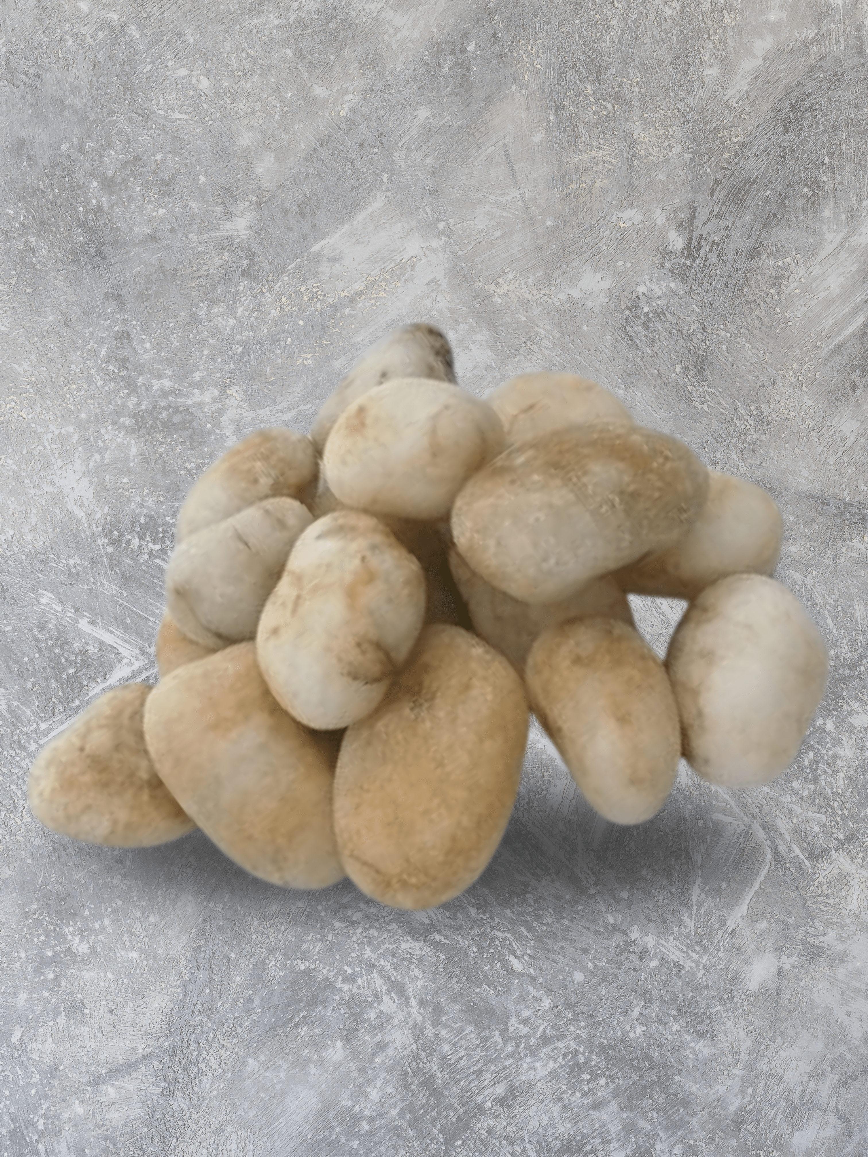 Sami Polish Half White Pebble – 20kg Bag (3.5cm x 2.4cm)